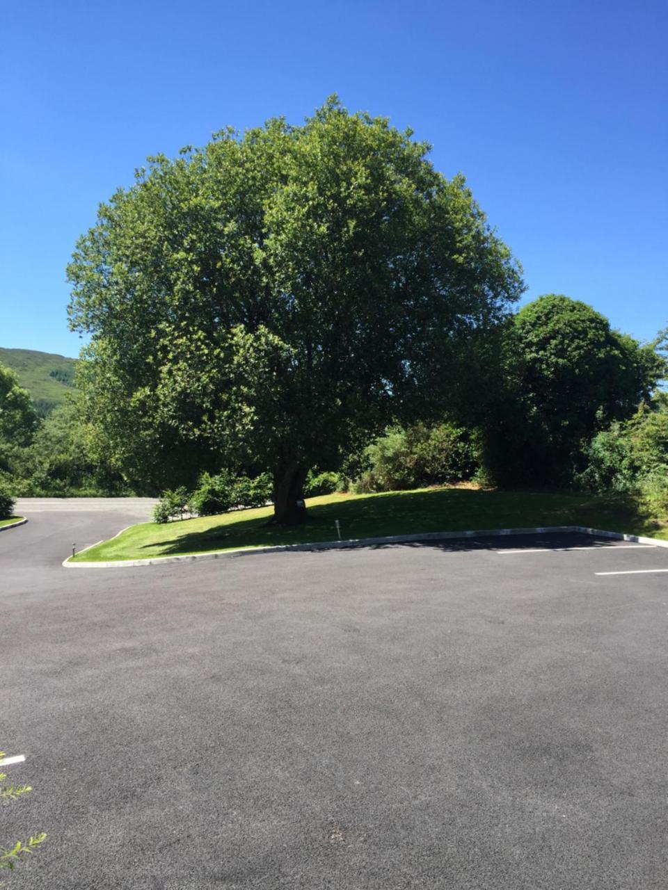 2 Mile Lodge Kenmare Εξωτερικό φωτογραφία